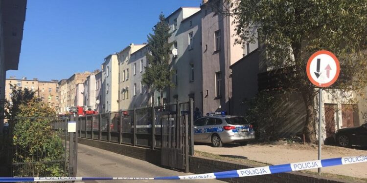 Mężczyzna na drzewie przy Mieszka I