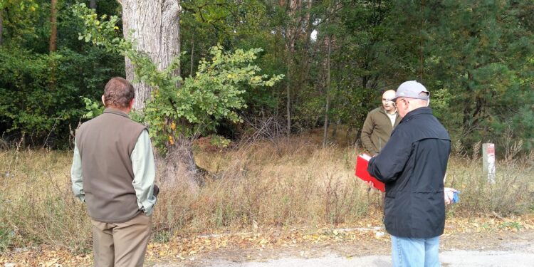 Sporne drzewa w okolicy Chwalęcic