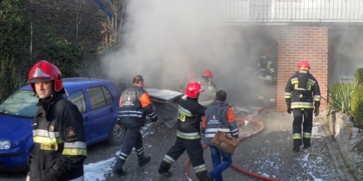 autor: Piotr Wiśniewski