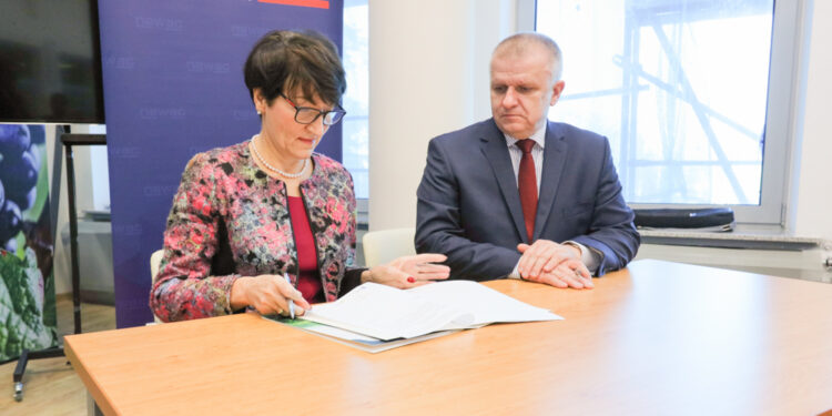 Lubuskie kupuje nowe pociągi