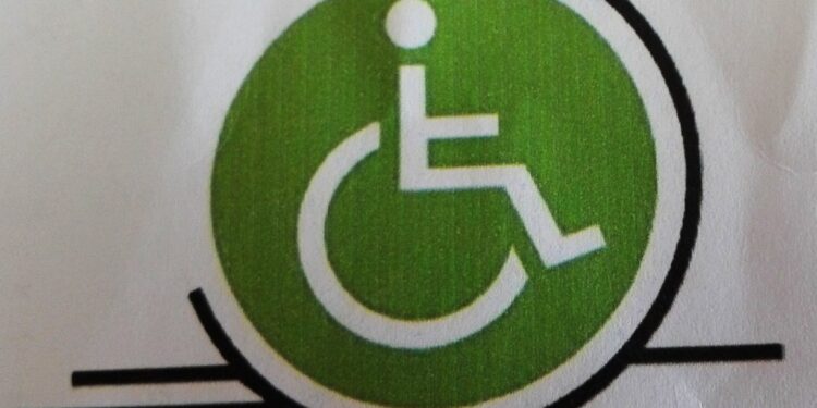 Pomoc niepełnosprawnym  rodzicom i studentom