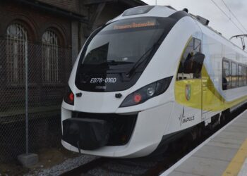 Papusza i Gorzowianin- wybrano nazwy dla nowych pociągów