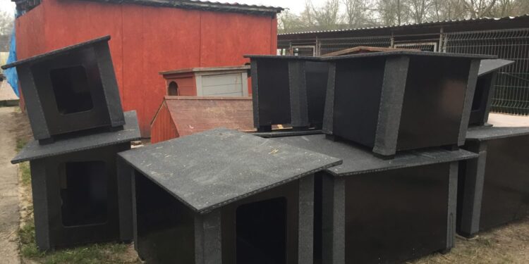 „Azorki” mają 20 nowych bud