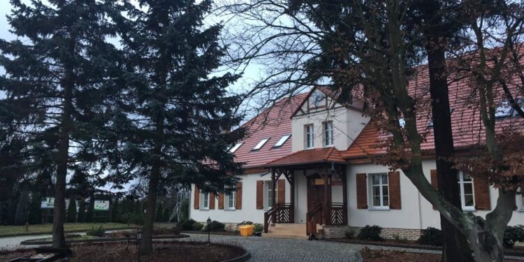 Kradzież choinek jest karalna