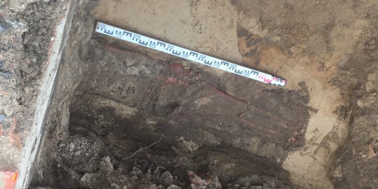 Szkielet z XV wieku w centrum Gorzowa