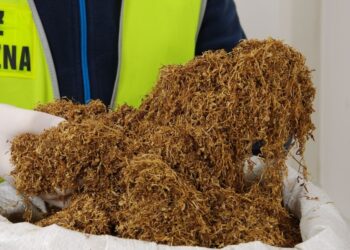 W 90 przesyłkach znaleziono 150 kg nielegalnego tytoniu