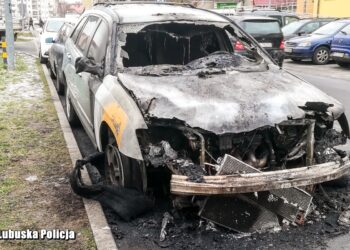 Podpalał, potem nagrywał i… dzwonił po służby