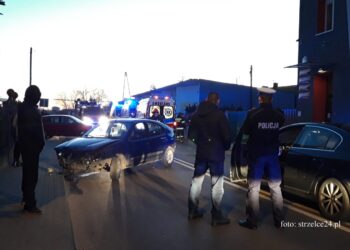 Zwierzyn: Pijany kierowca potrącił pieszych