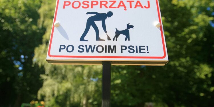 Psie kupy są wszędzie!