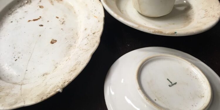 Porcelana pod ziemią. Nowe znalezisko na ul. Sikorskiego