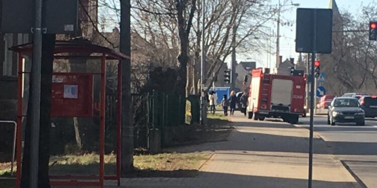 Pies w studzience i petarda w mieszkaniu. Pracowity dzień straży
