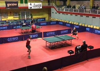 Gorzovia powalczyła u wicelidera