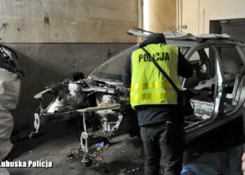 Rozbito gang złodziei aut. 11 podejrzanych i 60 zarzutów