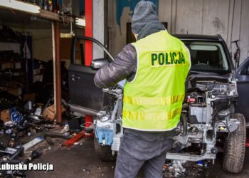 Dziupla z kradzionymi autami… i nie tylko