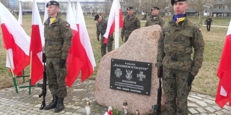 autor: Piotr Wiśniewski