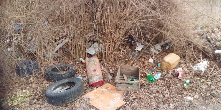 Miejskie sprzątanie