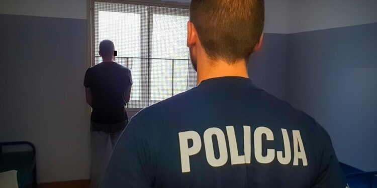 Złodziej psów trafił do aresztu