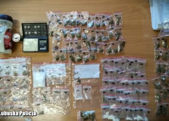 Areszt dla podejrzanego o handel narkotykami