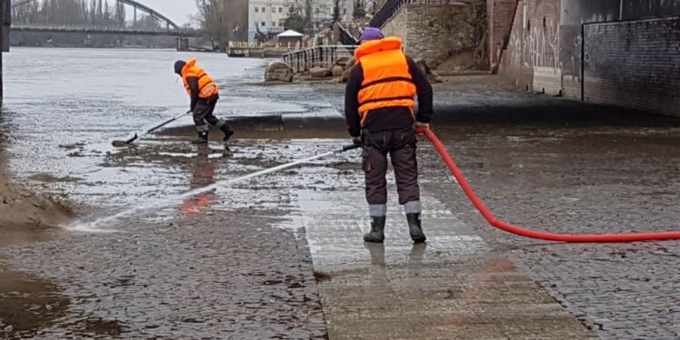 Jest czyściej w mieście?