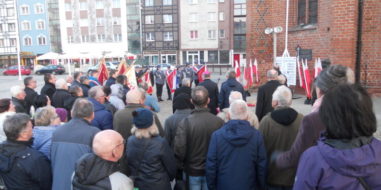 autor: Piotr Wiśniewski