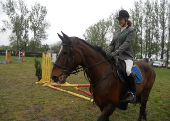 IV Mistrzostwa w jeździe konnej