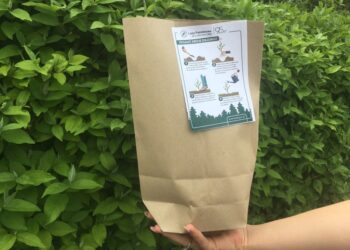 Akcja #sadziMy: odbierz sadzonkę i posadź u siebie