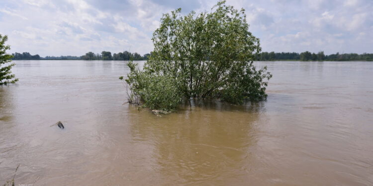 Kulminacja wezbrania na Odrze