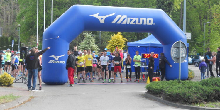 autor: Piotr Wiśniewski