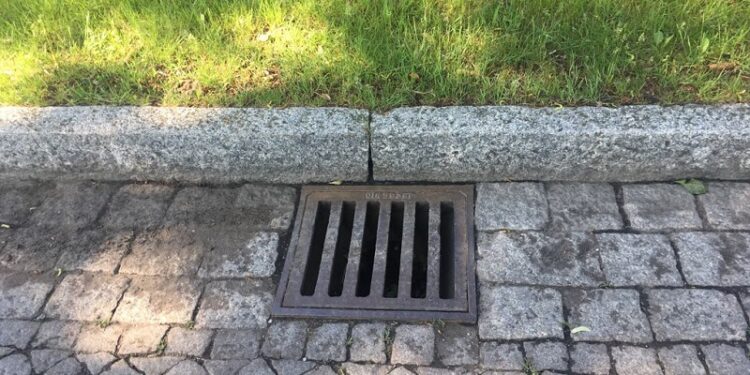 W mieście trwa pielęgnacja trawników