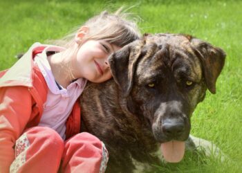 Pies najlepszym przyjacielem człowieka? Potwierdzone naukowo! [WIDEO]