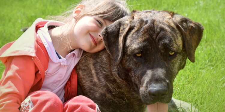 Pies najlepszym przyjacielem człowieka? Potwierdzone naukowo! [WIDEO]