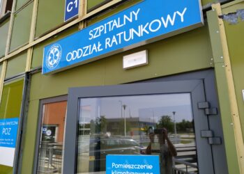 autor: Piotr Wiśniewski