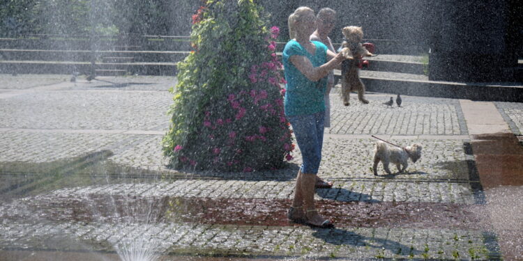 Jak przetrwać upalne dni? Ważne są dieta i rozsądek [WIDEO]