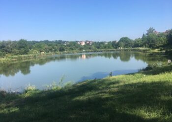 Czy będzie można łowić ryby w „Ruskim Stawku”?