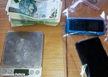 Zatrzymani za narkotyki