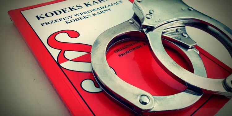 Sześć zarzutów dla 33-latka