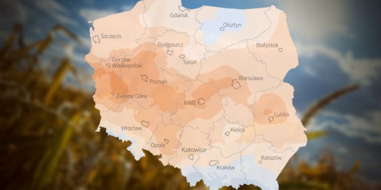 Najsuszej rolnikom w Lubuskiem