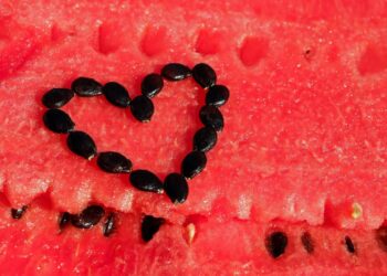 Arbuz – idealne orzeźwienie na lato