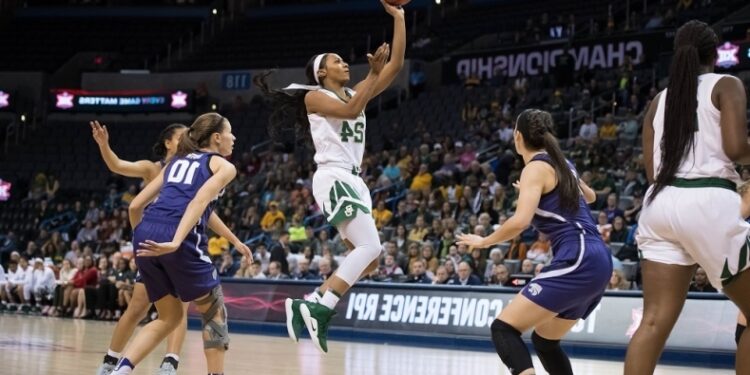 Amerykańska „jedynka” przedostatnim nowym nabytkiem AZS AJP