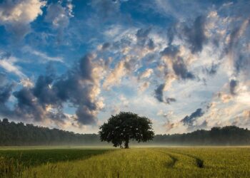 Co można wyczytać z chmur?