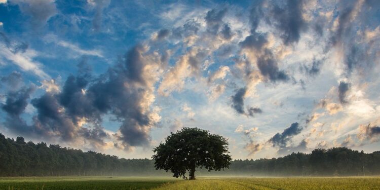 Co można wyczytać z chmur?