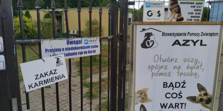 autor: Piotr Wiśniewski