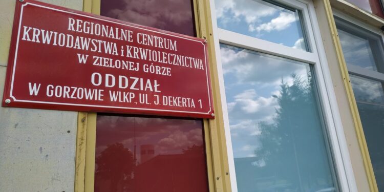 autor: Piotr Wiśniewski