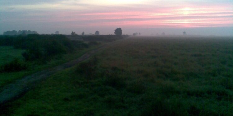 Wspólnie na rzecz przyrody