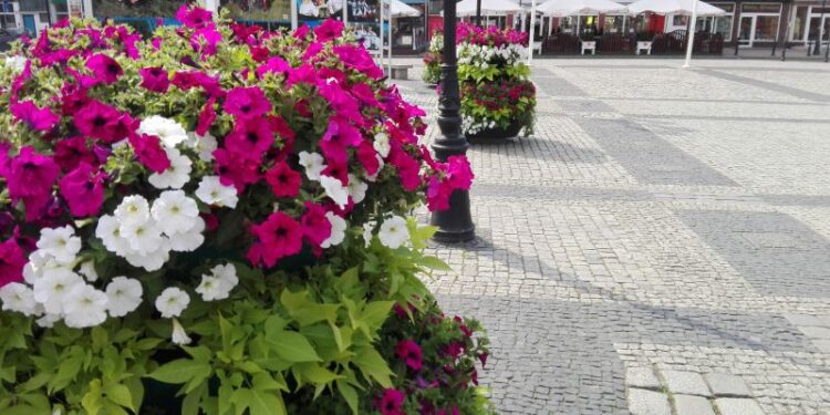 Konkurs na piękne balkony i ogrody