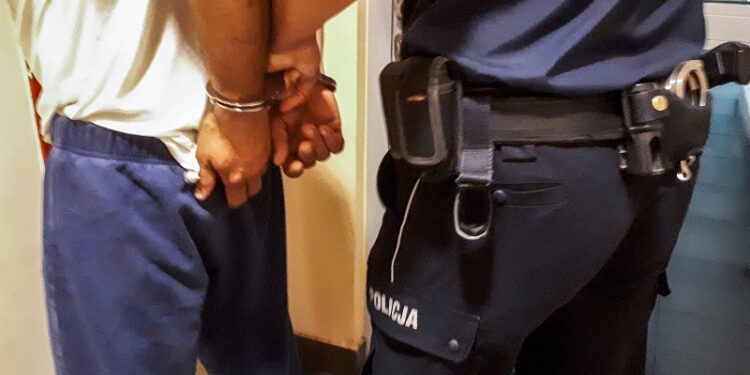 29 zarzutów za kradzieże i włamania