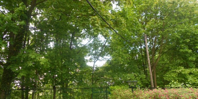 Pełne śmietniki w Parku Słowiańskim