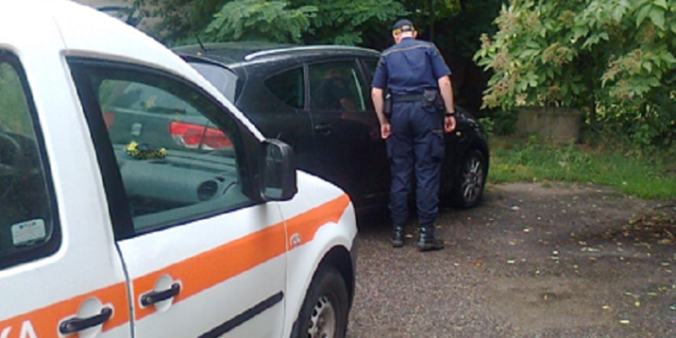 Pies w rozgrzanym aucie. Pomogli strażnicy