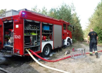 Kolejne podpalenia w podgorzowskich lasach!