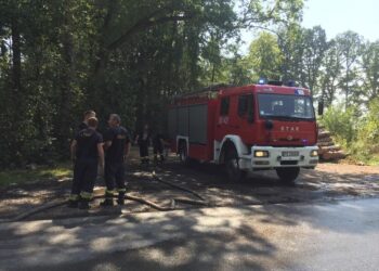 Pożar lasu pod Gorzowem. Ogień w dziewięciu miejscach